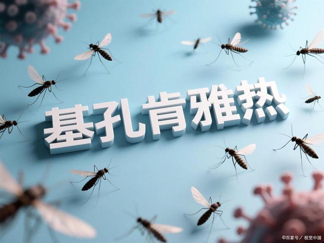 基孔肯雅热到底是啥 医生解读 花蚊子传播的急性传染病