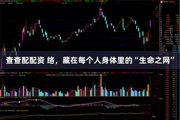 查查配配资 络，藏在每个人身体里的“生命之网”